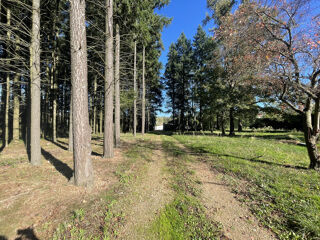  Proprit/chteau  vendre 8 pices 146 m