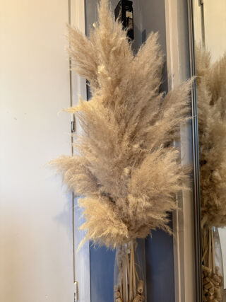  Maison à vendre 6 pièces 160 m²