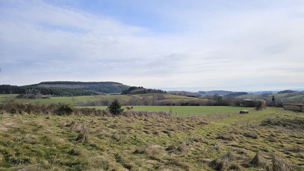 Vente Terrain CHERIER - MAGNIFIQUE TERRAIN CONSTRUCTIBLE D'ENVIRON 7000 M2 VUE IMPRENABLE Cherier