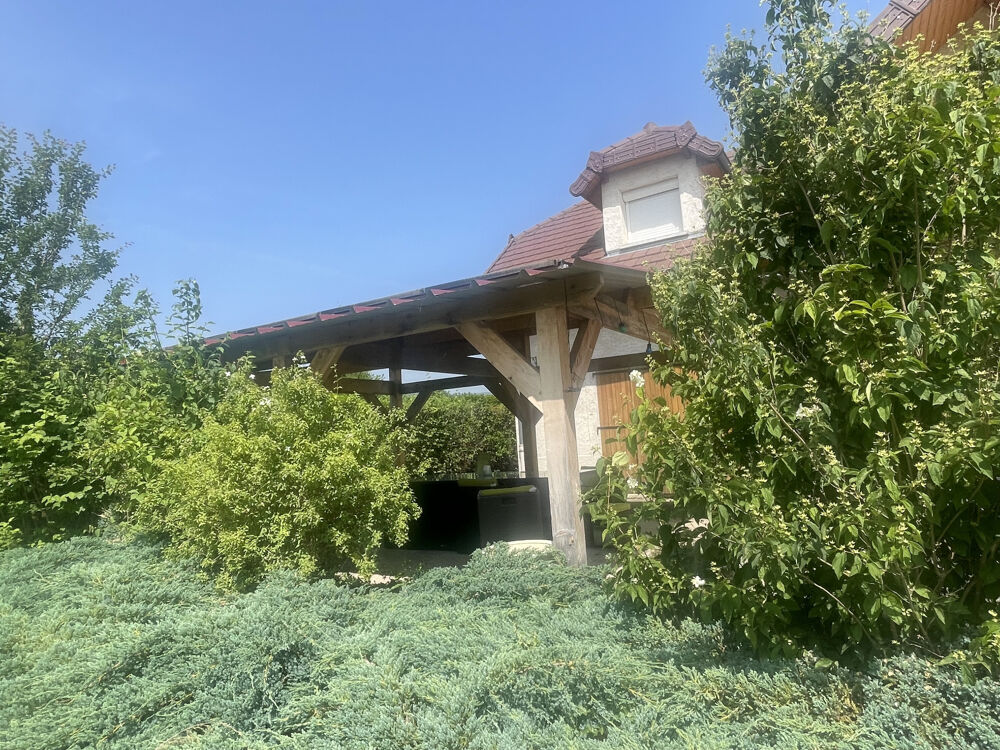 VILLA STYLE SAVOYARD 170 M2 VUE EXCEPTIONNELLE COTE ROANNAISE AVEC 2700 M2