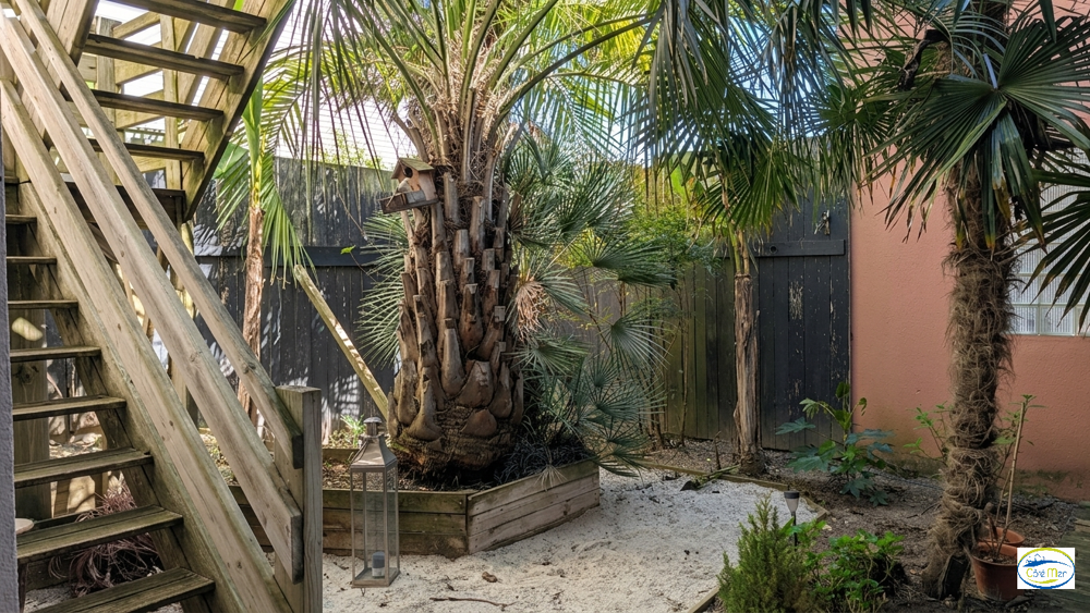 � vendre  Maison Ch�telaillon-Plage (17340)