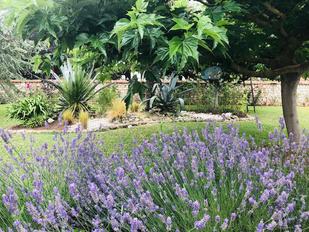 � vendre  Maison Fouras (17450)