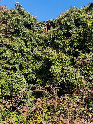  Maison  vendre 3 pices 150 m