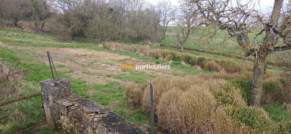 Vente Terrain MOUSSON (54700) TERRAIN CONSTRUCTIBLE - 1 625 m2 Mousson