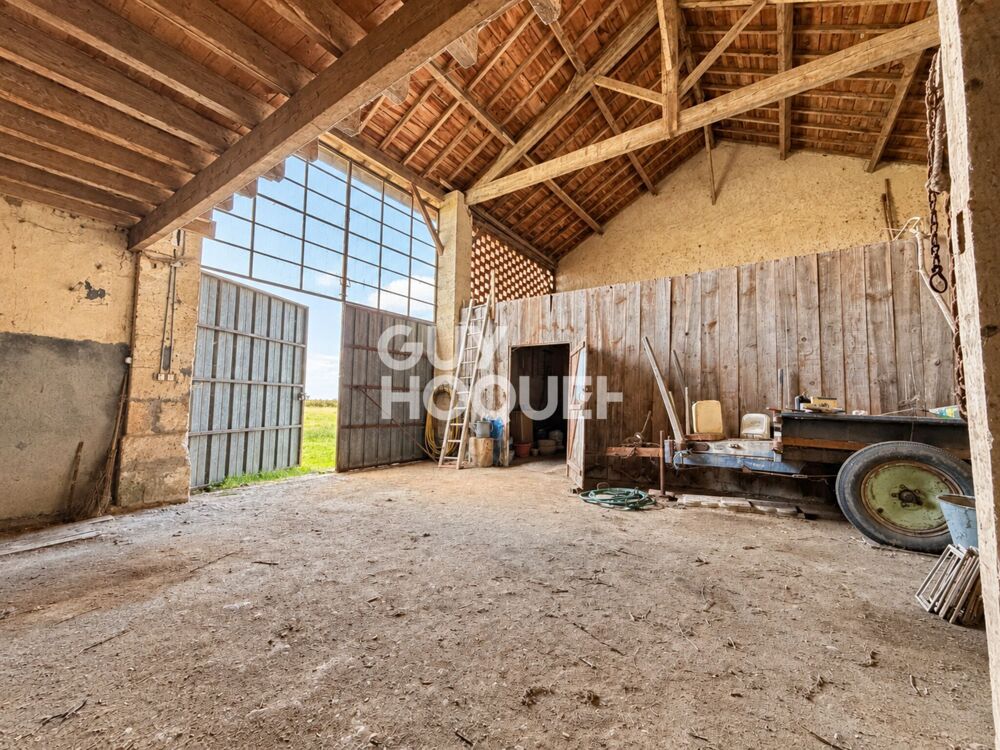 Vente Maison maison Saint-estèphe