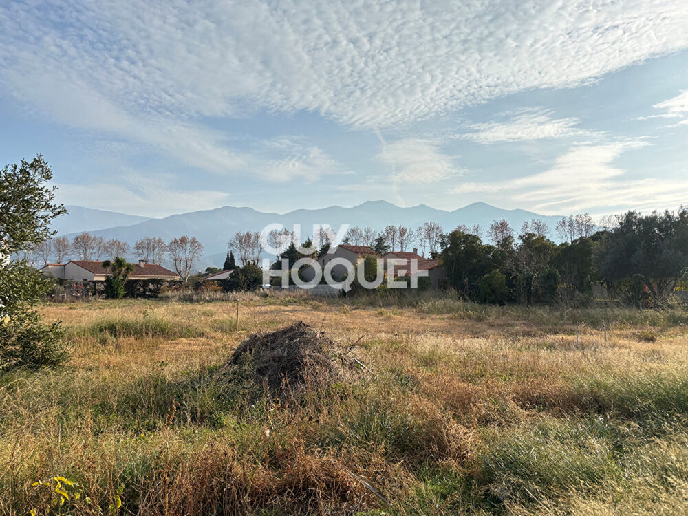 Vente Terrain terrain Montesquieu-des-albères