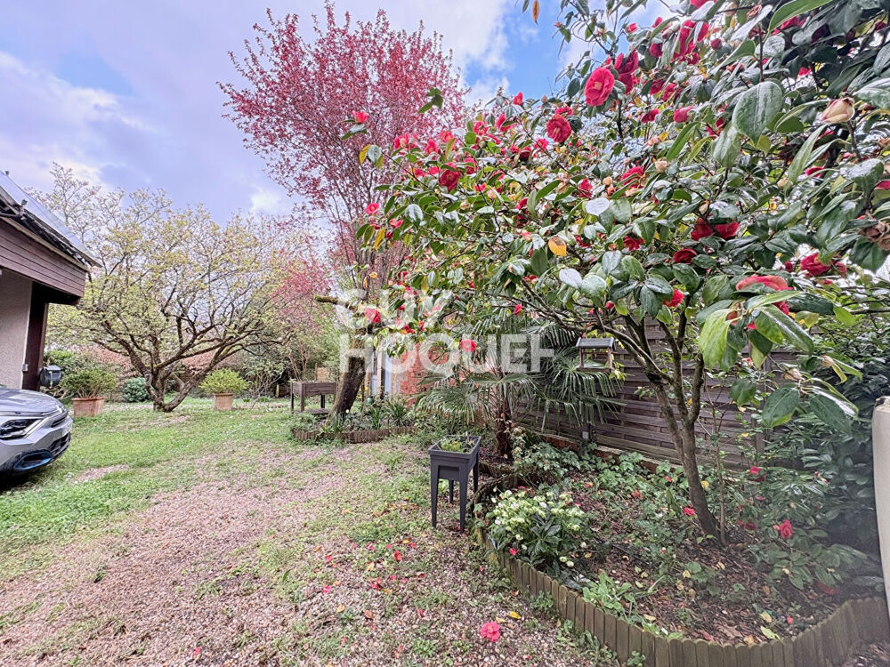 à vendre  Maison Bègles (33130)
