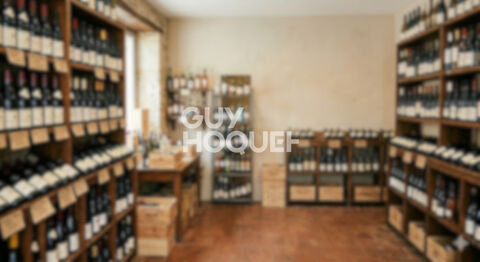 commerce 106400 66750 Saint-cyprien