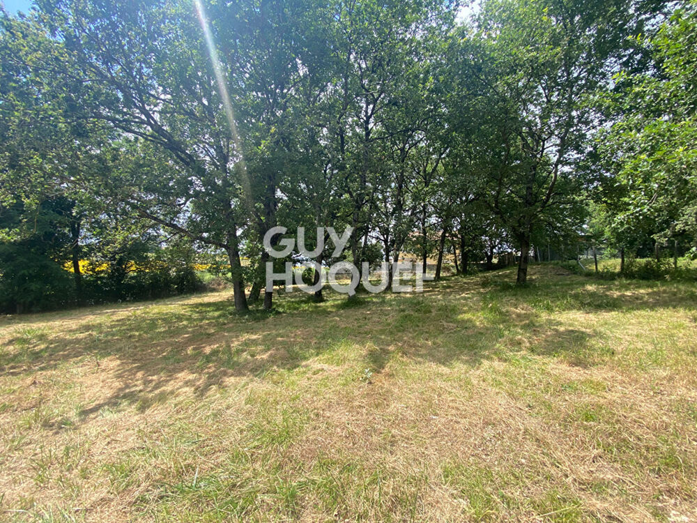 Vente Terrain terrain Saint paul sur save