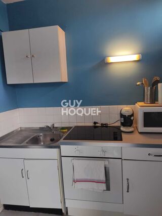  Appartement à louer 1 pièce 30 m²