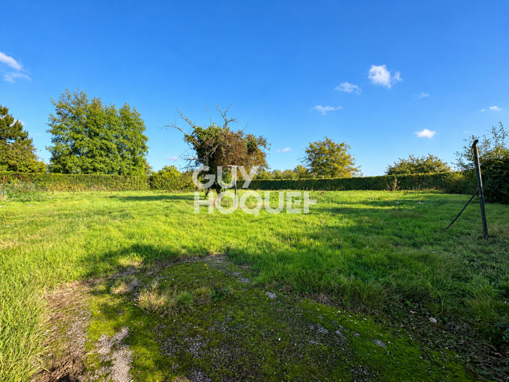 Vente Terrain terrain Saint-andré-sur-cailly