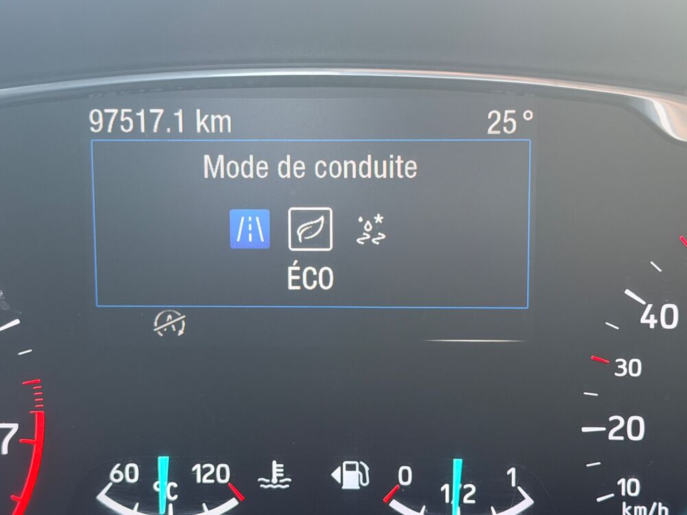 Fiesta 1.0 ECOBOOST 85 Ch ACTIVE PACK + RADAR AR + CARPLAY 2018 occasion 97410 Saint-Pierre