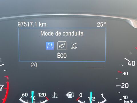 Fiesta 1.0 ECOBOOST 85 Ch ACTIVE PACK + RADAR AR + CARPLAY 2018 occasion 97410 Saint-Pierre