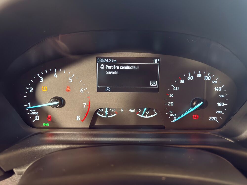 Fiesta Soci&eacute;t&eacute; VI 1.0 ECOBOOST FLEXIFUEL 95 S&S TREND 2022 occasion 76190 &Eacute;calles-Alix