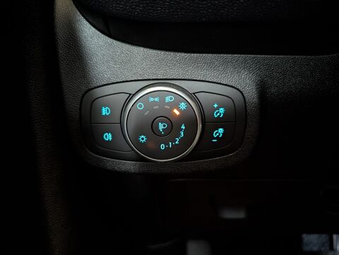 Fiesta VII (7) 1.0 ECOBOOST 100 ch TREND BVA6 - 1&Egrave;RE MAIN 2018 occasion 65290 Juillan