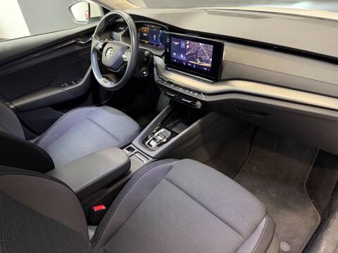 Octavia COMBI 2.0 TDI 116ch DSG BUSINESS 2023 occasion 37100 Tours
