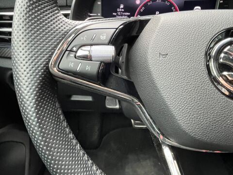 Kamiq 1.5 TSI 150 ch MONTE-CARLO DSG7 2023 occasion 64320 Idron