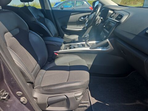 Kadjar 1.6 DCI 130 ENERGY BUSINESS 2017 occasion 38590 Saint-&Eacute;tienne-de-Saint-Geoirs