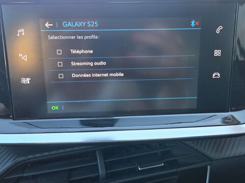 208 GENERATION-II SOCIETE 1.5 BLUEHDI 100 PREMIUM PACK 5.0 Cv TV 2021 occasion 33210 Maz&egrave;res