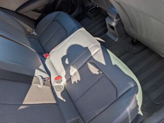Q2 1.4 35 TFSI COD 150 ch S LINE S-TRONIC 2019 occasion 65290 Juillan