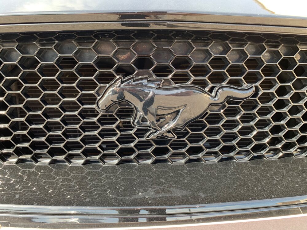 Mustang GT V8 Wolf Edition 525ch 2020 occasion 69420 Ampuis