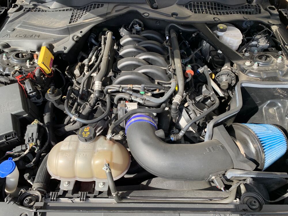 Mustang GT V8 Wolf Edition 525ch 2020 occasion 69420 Ampuis