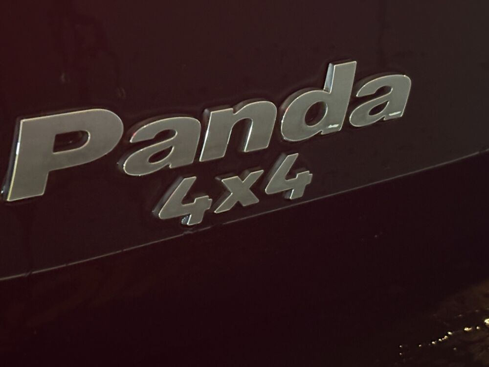 Panda FIAT PANDA 4X4 1.3 MULTIJET 16v 70ch CLIMBING - TOIT OUVRANT 2006 occasion 69400 Arnas