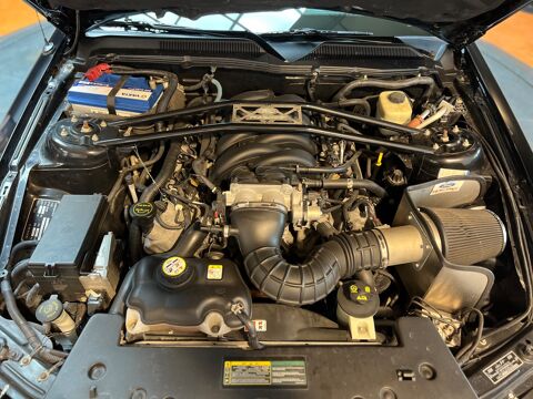 Mustang SHELBY GT-H 4.6 325CH TRES RARE EDITION HERTZ (500 EXEMPLAIR 2006 occasion 33320 Eysines