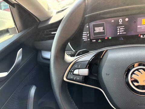 Octavia COMBI 1.5 TSI 150 ch MHEV SELECTION DSG 7 - PREMIERE MAIN 2024 occasion 64320 Idron