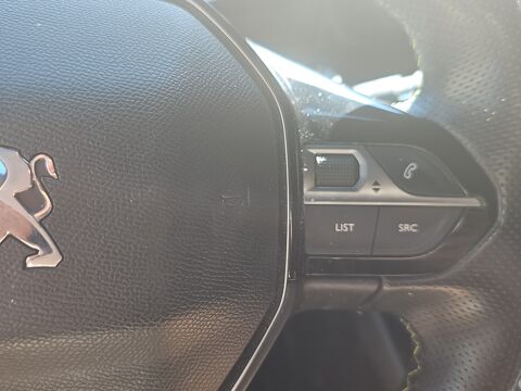 208 ELECTRIC 135 77PPM 50KWH GT LINE - GARANTIE 6 MOIS 2020 occasion 68000 Colmar
