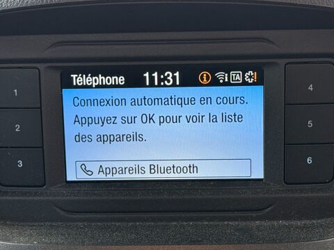 Transit FOURGON 1.5 TDCI 75 ch TREND BUSINESS - TVA RECUPERABLE 2022 occasion 64320 Idron