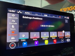 Leon 245 ch e-HYBRID VZ DSG6 - SUIVI CONSTRUCTEUR 2021 occasion 65290 Juillan