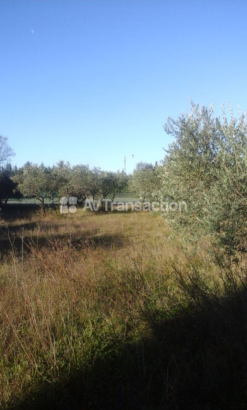 Vente Terrain beau terrain constructible 600 m2 Mérindol