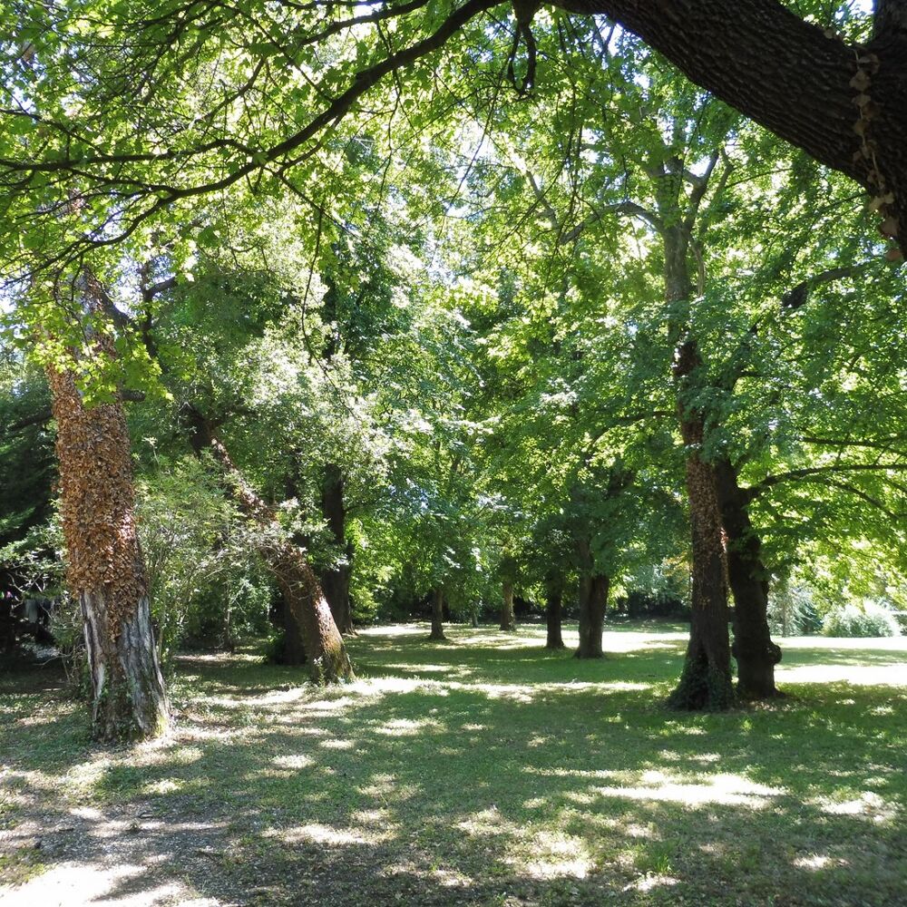 à vendre  Propriété/château Uzès (30700)