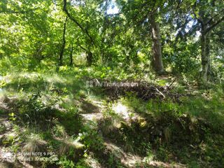  Terrain à vendre 5257 m² Colognac