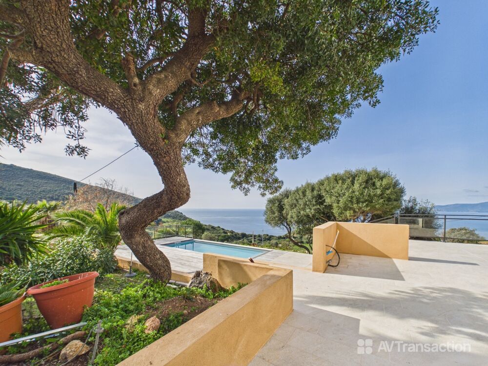 à vendre  Maison Calcatoggio (20111)