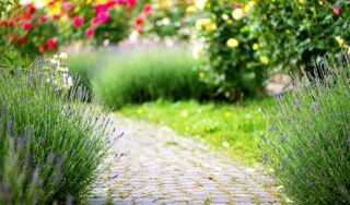  Terrain à vendre 500 m²