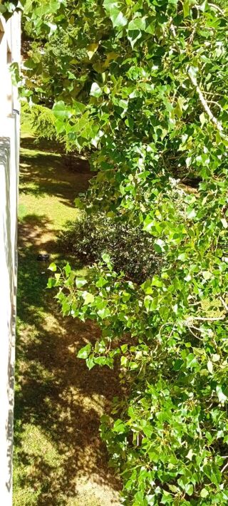  Appartement  vendre 1 pice 9 m