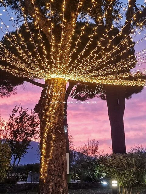 Restaurant cl&eacute; en mains &agrave; Linguizzetta 130000 20230 Linguizzetta