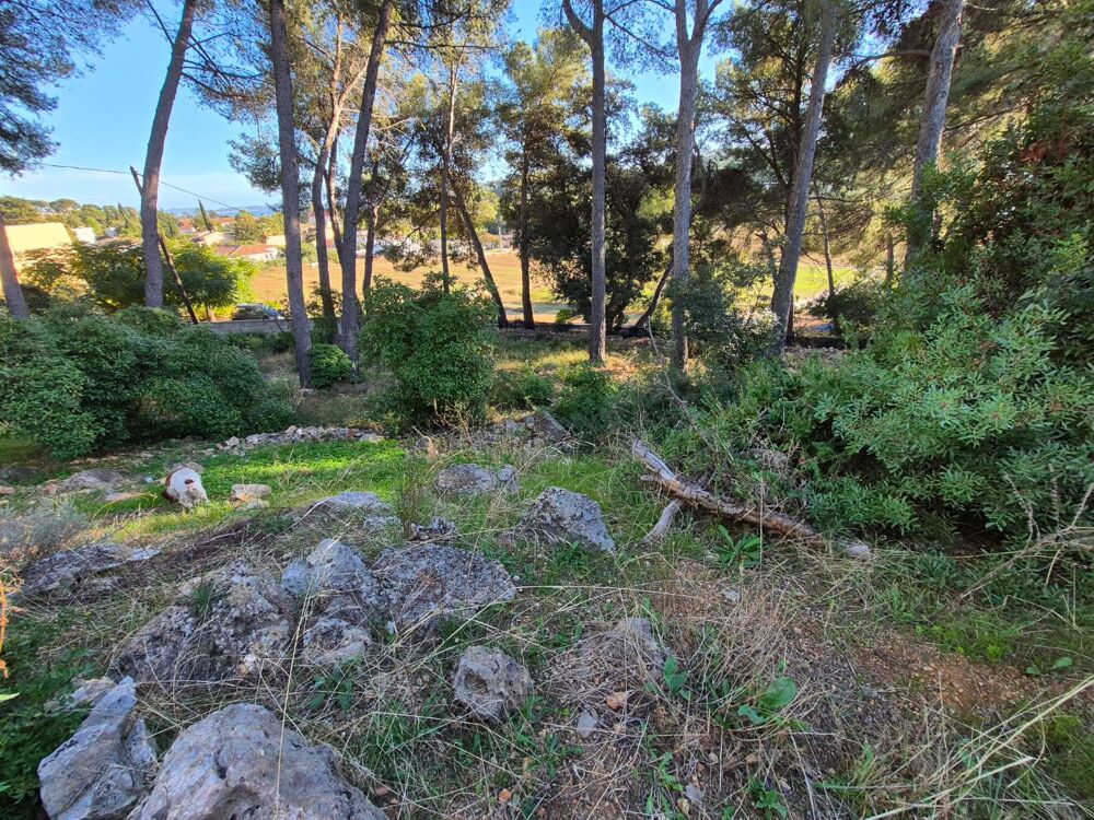 � vendre  Maison Carqueiranne (83320)