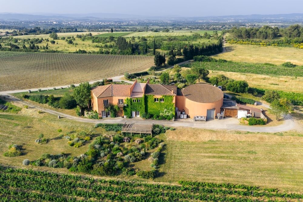 Vente Propriété/Château Domaine viticole exceptionnel aux portes de Carcassonne Villemoustaussou