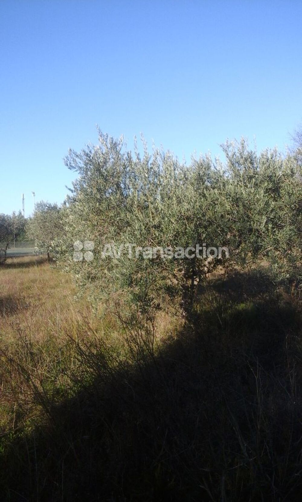 Vente Terrain beau terrain constructible 600 m2 Mérindol