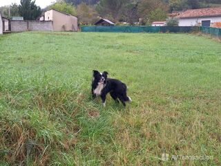  Terrain � vendre 920 m�