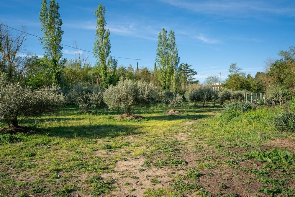 � vendre  Villa Coursan (11110)