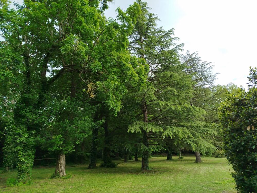 à vendre  Propriété/château Uzès (30700)