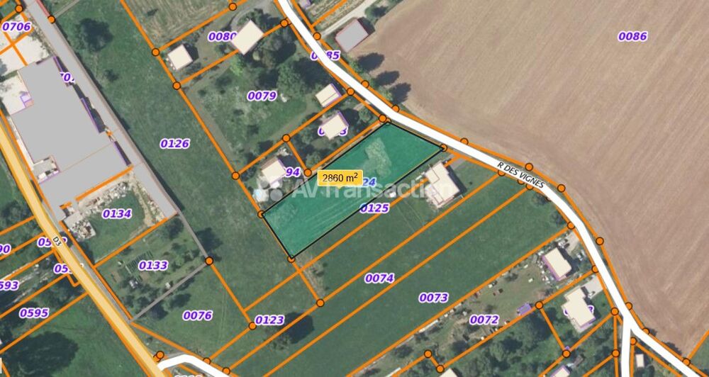 Vente Terrain Terrain � b�tir de 28 ares � Oiselay Oiselay et grachaux