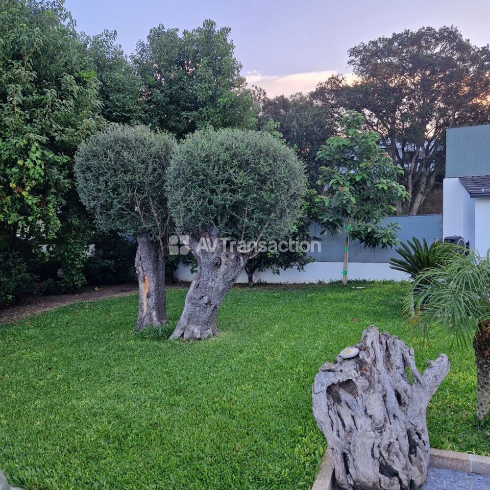 � vendre  Villa Afa (20167)