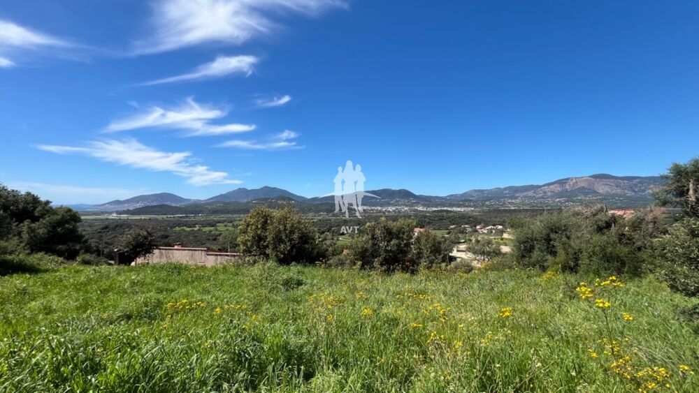 Vente Terrain À vendre Terrain Bastelicaccia Constructible Bastelicaccia