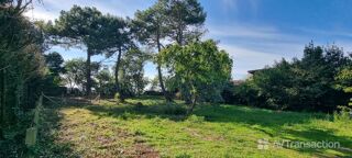  Terrain à vendre 985 m²