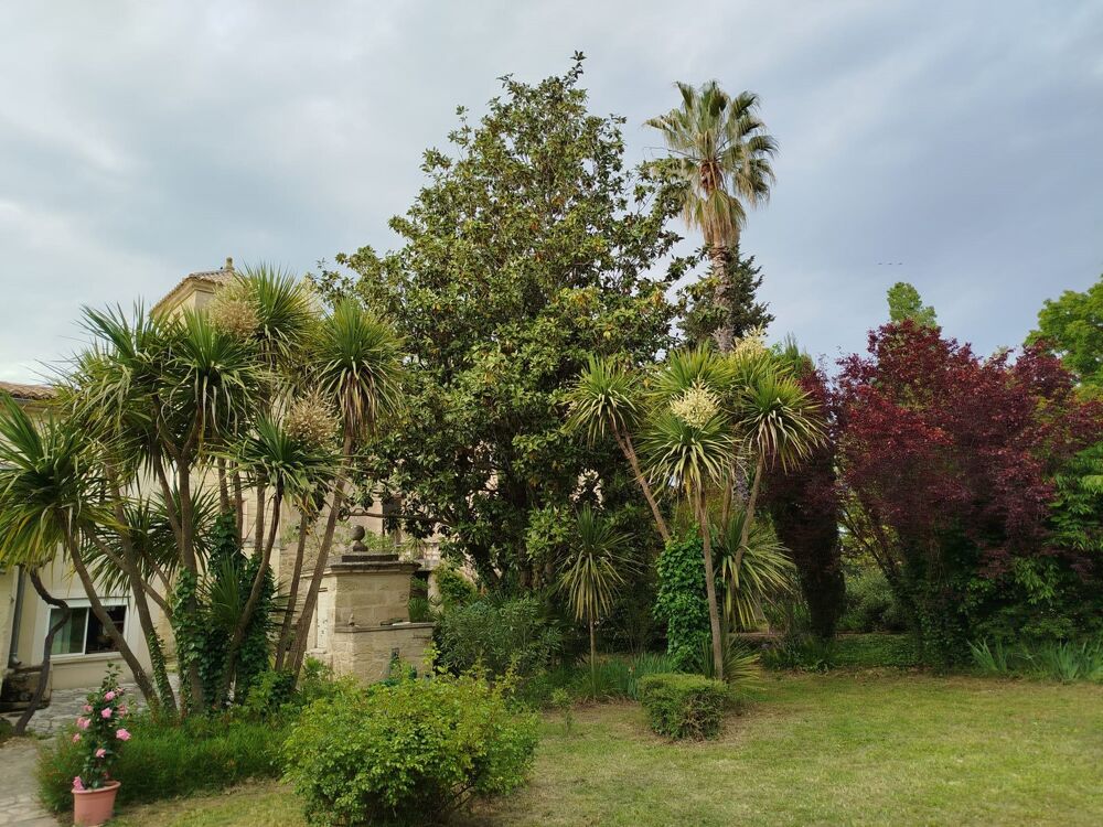 à vendre  Propriété/château Uzès (30700)